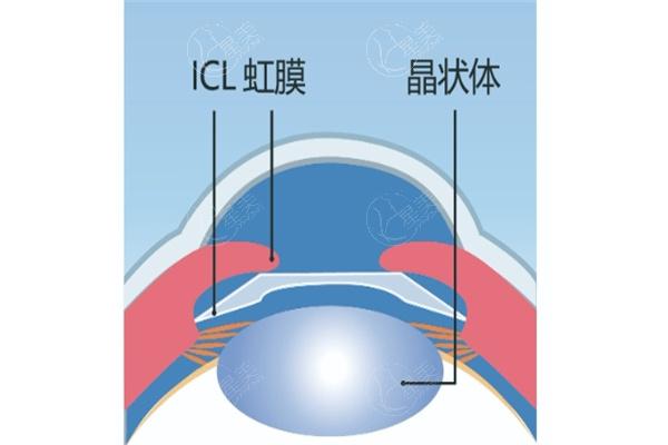 微信截图_20231010182352.jpg