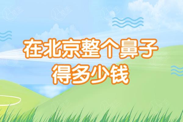 在北京整个鼻子得多少钱
