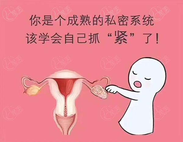 新型紧缩针