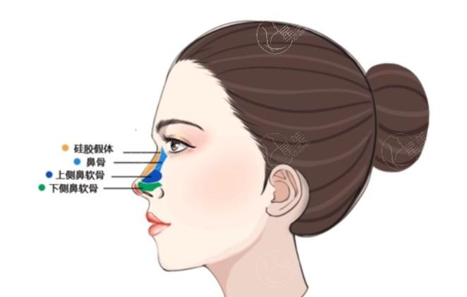 鼻子
