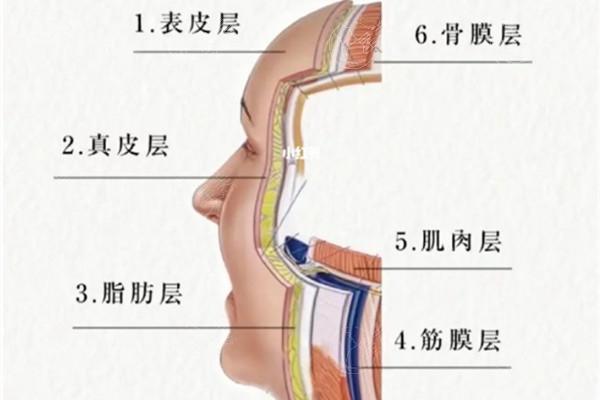 筋膜层提升费用大概多少