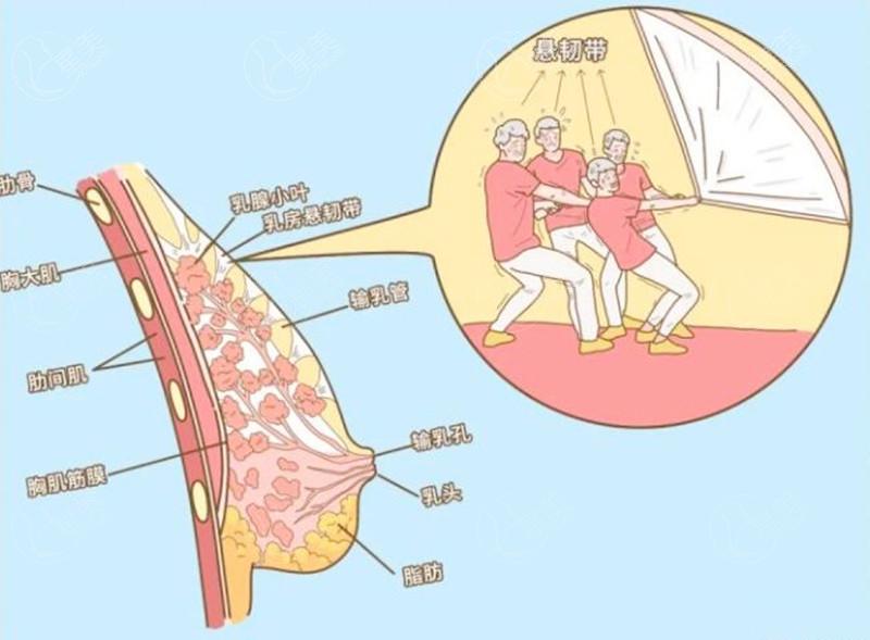 侯泽民医生做棉花糖丰胸价格介绍：