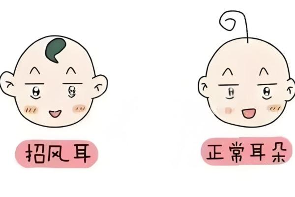 2025再造耳朵需要多少费用?肋软骨/扩张全包法/生物支架50000元起