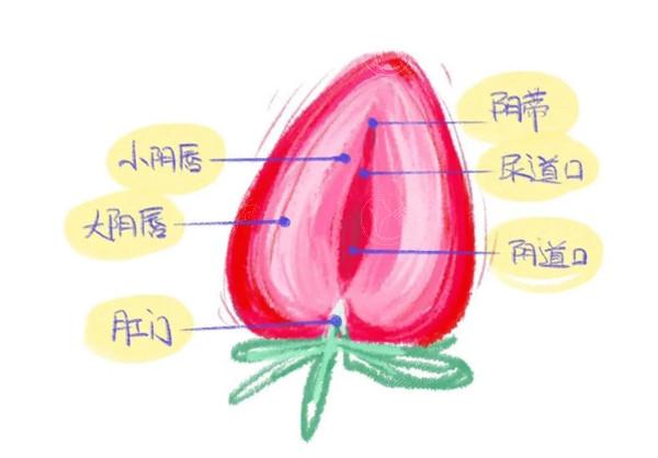 韩国私密手术需要多少钱