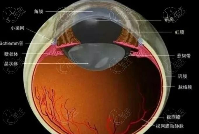 福建福清亮睛眼科医院 网评技术不赖价格不贵