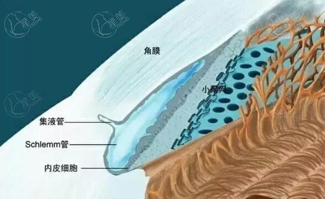 成都蔡司精雕飞秒A+排名前10名单 这些都是成都正规且规模大的机构喔