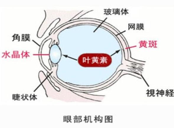 杭州高清微飞秒Q级好又便宜的医院名单 杭州有名的是茗视佳、太学、爱尔