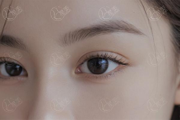 苏州优立塑溶脂排名前3公布 榜单前3正规又好