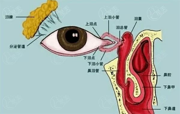 新的杭州眼科医院青光眼手术价格表 价格表显示青光眼16300/元起