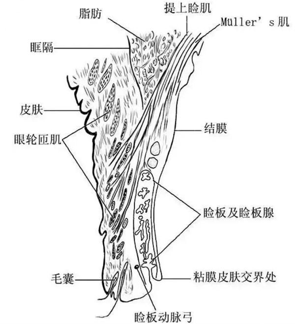 更新高雄眼科医院老视手术收费标准一览 其中老视手术20000元+|个性化老视23600元+|激光老视22800元+